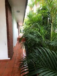 Princess Of Wales Park (D10), Semi-Detached #573143371
